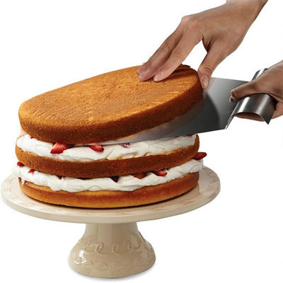 Van de de Hulpmiddelenoverdracht van het roestvrij staalbaksel de Cake Tray Silver Color