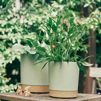 Binnen Plastic Groene Installatiepotten met Drainagegaten en Verwijderbare Basis
