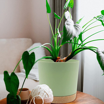 Binnen Plastic Groene Installatiepotten met Drainagegaten en Verwijderbare Basis