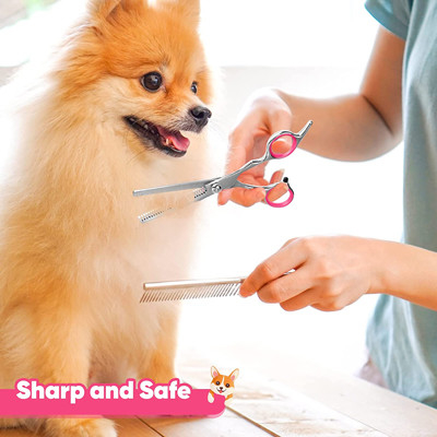 6 in 1 Roestvrij staalhond het Verzorgen Schaar Kit With Safety Round Tips
