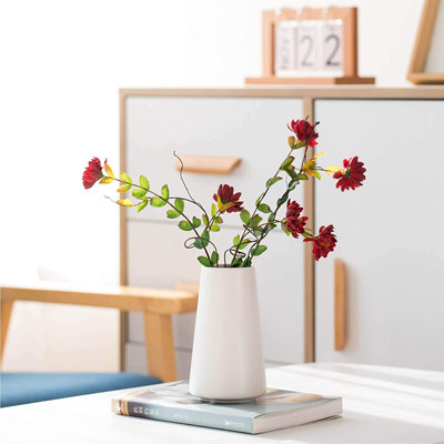 De Witte Ceramische Vaas van de Minimalismstijl voor de WoonkamerBureau van de Slaapkamerkeuken