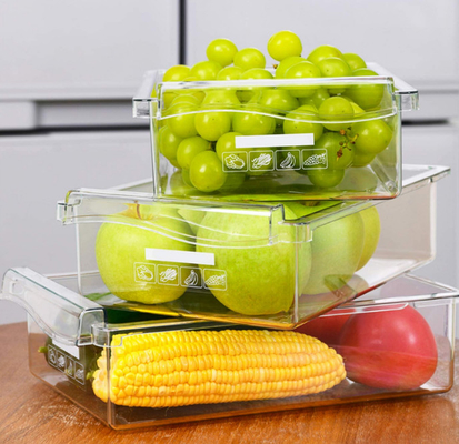 Van de de Koelkastlade van de fruitgroente de Opslag van de Organisatorbox for food