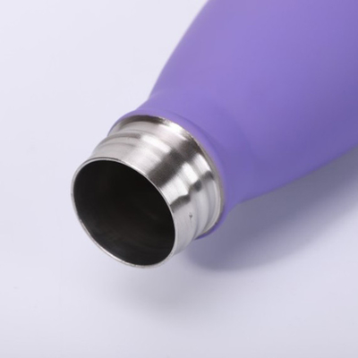 500ml vacuümsportendouane het Drinken de Drankfles van het Koppen304ss Metaal