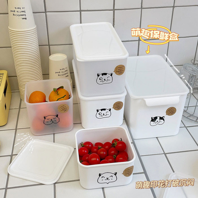 De plastic Bulkkeuken levert Fruit en Plantaardige Containers voor Koelkast