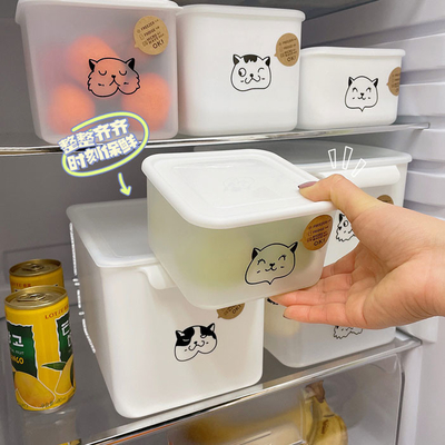 De plastic Bulkkeuken levert Fruit en Plantaardige Containers voor Koelkast