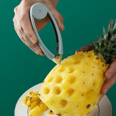 Van de de Aardbeiaardappel van het keukenroestvrije staal van de de Ananastomaat het Vlekkenmiddel van de de Schillerstam